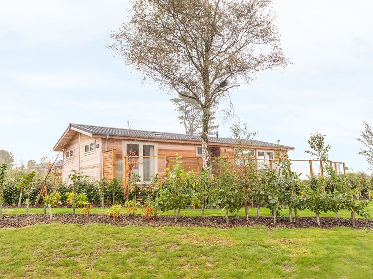 15 Faraway Fields Dobwalls Cornwall Self Catering Holiday