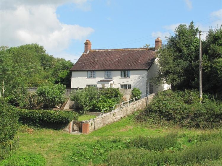 Hill Cottage Thorncombe Hewood Dorset And Somerset Self