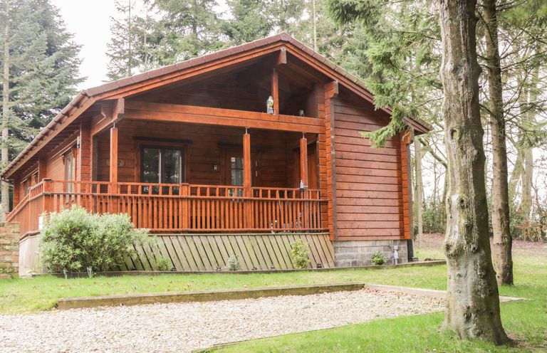 A wooden cabin with a porch surrounded by trees and grass at Chloes Lodge in Middleton Ryedale