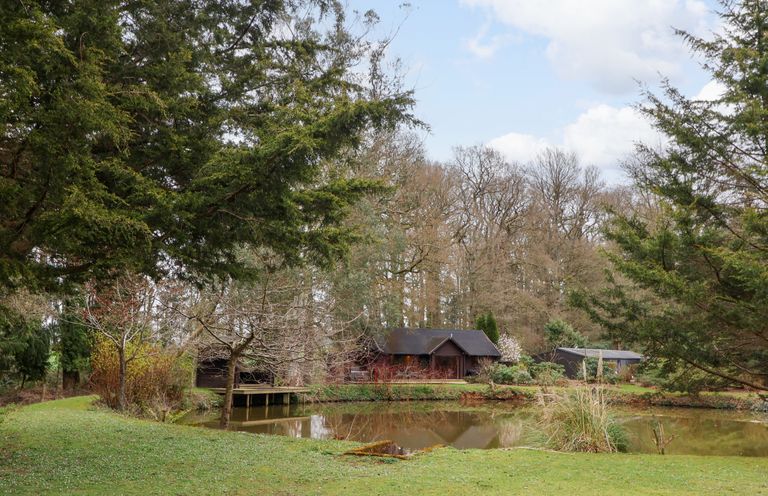 A pond surrounded by grass and trees with wooden cabins in the background at Woodpeckers in Willand
