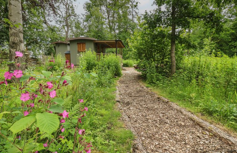 A path leading to a shed surrounded by flowers and trees at Bracken Fern in Eppleby