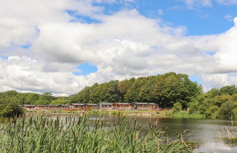 A lake with tall reeds in the foreground and wooden lodges with trees in the background at Mereside South lakeland Leisure Village near Carnforth