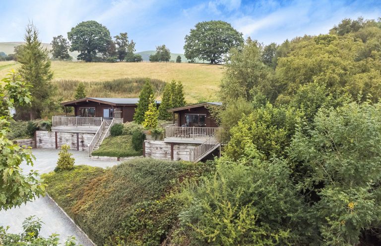 Two wooden cabins with decks surrounded by trees and bushes with a grassy hill and large trees in the background at Mountain View Rhayader