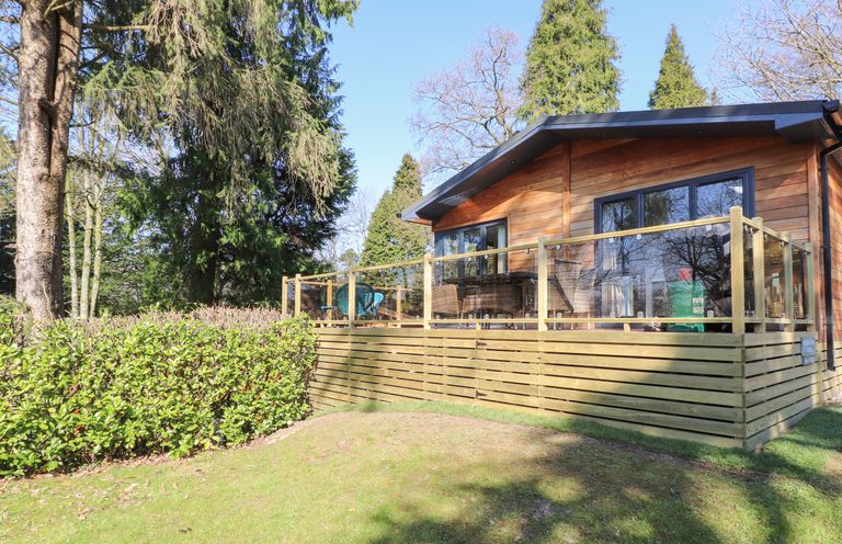 A wooden cabin with a large deck and glass railing surrounded by trees and shrubs at Windermere Lodge in Bowness-On-Windermere