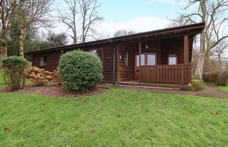 A wooden cabin with a covered porch surrounded by grass and bushes at The Oak Lodge near Lyme Regis