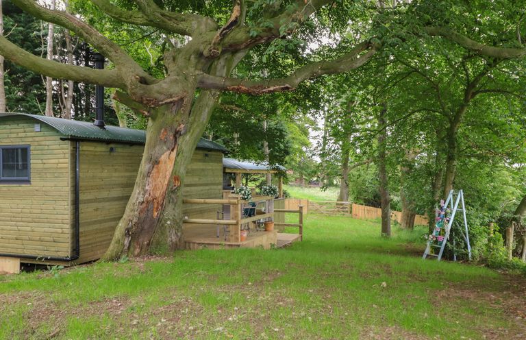 A wooden cabin with a covered porch and seating area surrounded by trees and grass at High Rigg Shepherds Hideaway in Brampton Cumbria