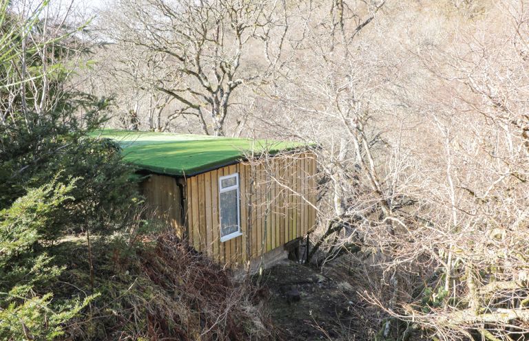 A small wooden cabin with a green roof surrounded by leafless trees and bushes at The River Lodge in Oban
