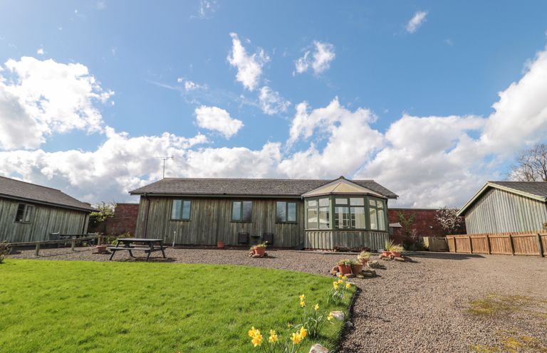 A lawn with yellow flowers and gravel driveway in front of wooden houses at The Shieling in Warkworth