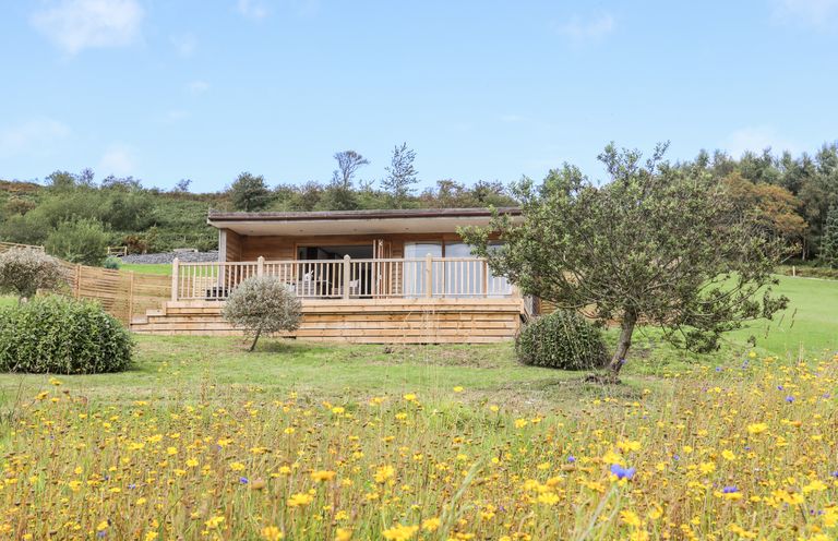 A wooden lodge with a deck surrounded by grass and small trees with wildflowers in front at Meadow Lodge Maerdy near Corwen