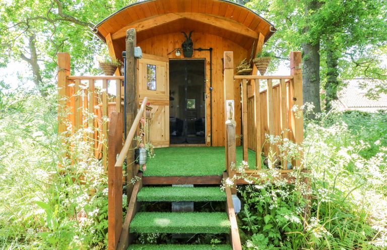 A wooden cabin with a small porch and green carpeted steps surrounded by trees and plants at Hugatree in Little Dunham near Litcham
