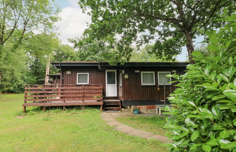 A wooden cabin with a white door surrounded by grass and trees at Doirewood Penlan Holiday Park near Cenarth