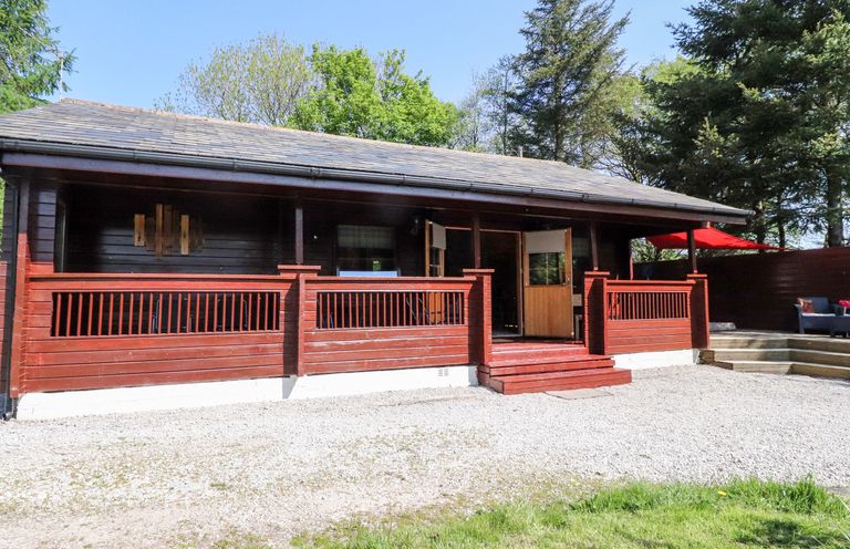 A wooden cabin with a porch and steps surrounded by trees at Gisburn Forest Lodge in Tosside near Wigglesworth