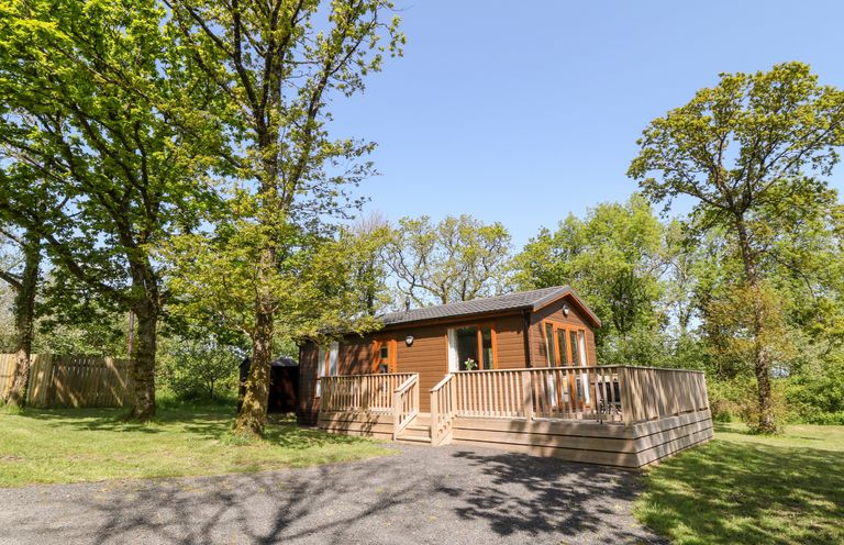 A wooden cabin with a deck surrounded by grass and trees at Dove Lodge in Highampton near Sheepwash