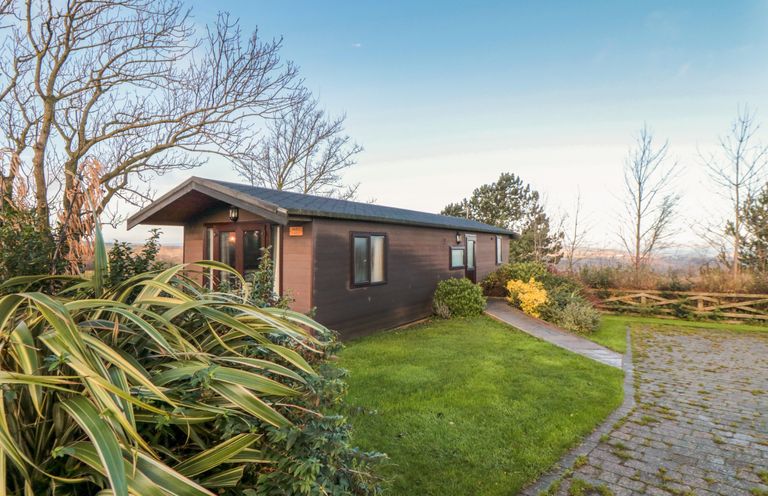 A small wooden cabin surrounded by grass and plants with a paved driveway at Holly Lodge in Liverton