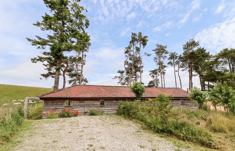 A wooden cabin with a red tiled roof surrounded by trees and grass at Y Caban in Pontfadog near Llangollen