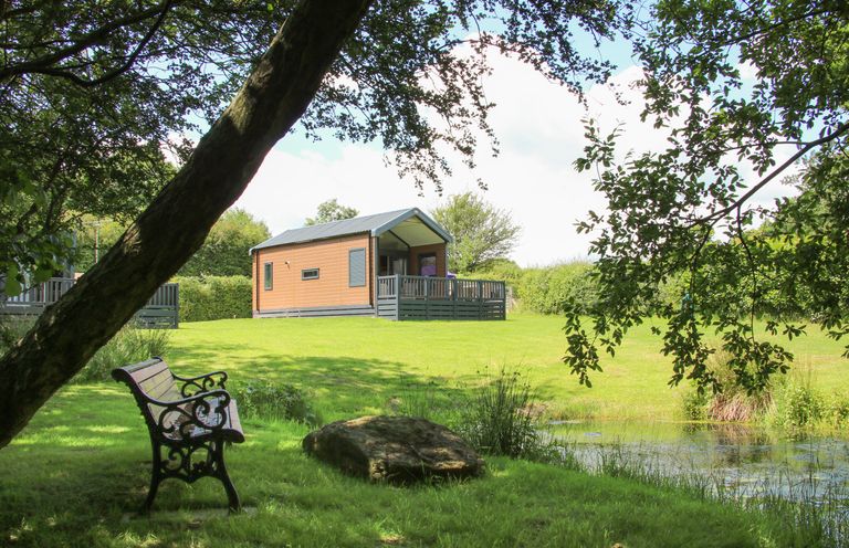A wooden bench under a tree beside a pond with a small cabin on a grassy hill in the background at Jacob's Meadow Pod 2 in Minsterley near Chirbury