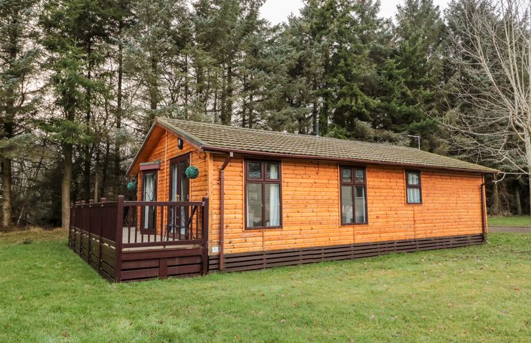 A wooden cabin with a tiled roof and a dark brown deck surrounded by grass and trees at The Treeline Swarland near Felton