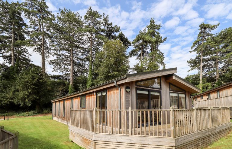 A wooden cabin with a deck surrounded by grass and tall trees at Tanqueray Lodge in Kenwick near Louth