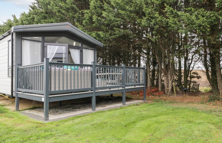 A small cabin with a deck and railing next to trees and grass at Finch 59 in Cayton