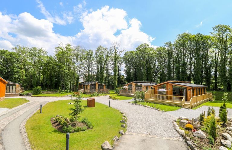 A cluster of wooden lodges surrounded by trees and greenery at Robin Lodge in Gargrave
