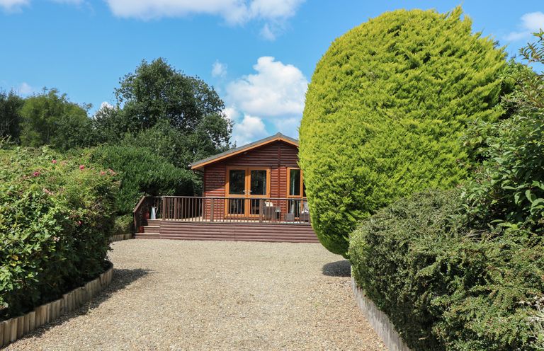 A wooden cabin with a deck surrounded by shrubs and trees at 1 Hornbeam Lodge in Narberth