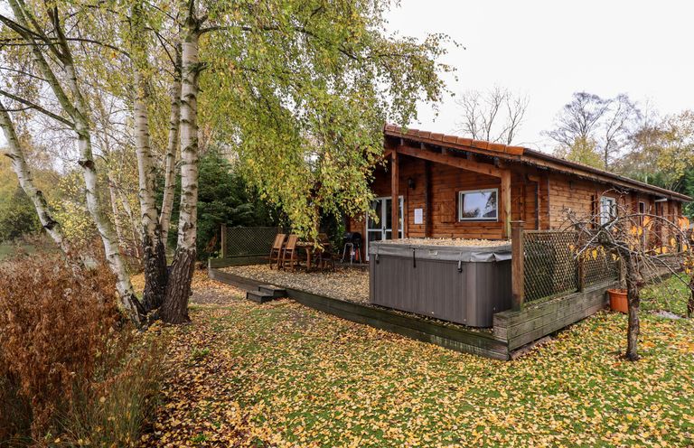 An exterior view of a wooden cabin with a deck surrounded by trees and fallen leaves at Avocet Lodge in Tattershall Lakes Country Park