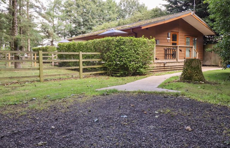 A wooden cabin surrounded by trees a gravel area and a pathway at Swinsty Lodge in Fewston near Darley