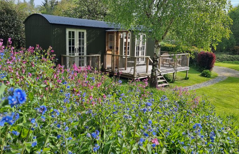 A green cabin with a wooden deck surrounded by grass and colorful flowers at Mucklewick Hollow in Minsterley near Bishops Castle