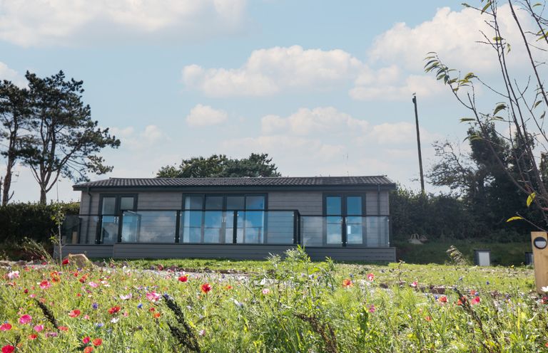 A modern single story building with glass balcony doors and a wildflower field in the foreground at Bluebell Lodge in Norton near Dartmouth