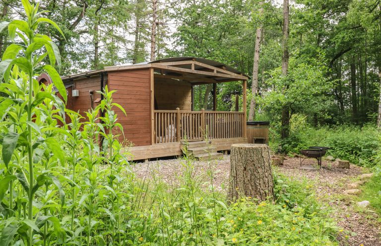 A cabin with a deck and fire pit surrounded by trees at The Leveret in Eppleby
