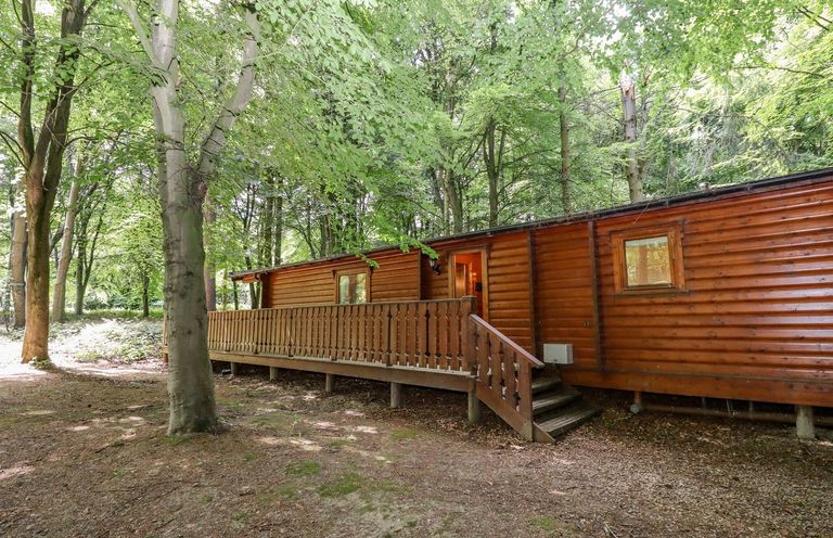 A wooden cabin with a ramp and stairs surrounded by trees at Bamboo Retreat in Louth