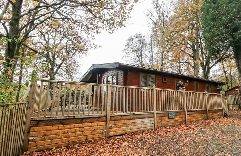 A wooden cabin with a fenced deck and outdoor table and chairs surrounded by trees with autumn leaves at Tree View Lodge in Troutbeck Bridge