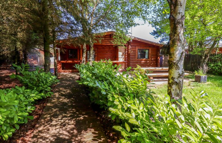 A wooden cabin with surrounding greenery and a pathway leading to the entrance at Starwood in Felton