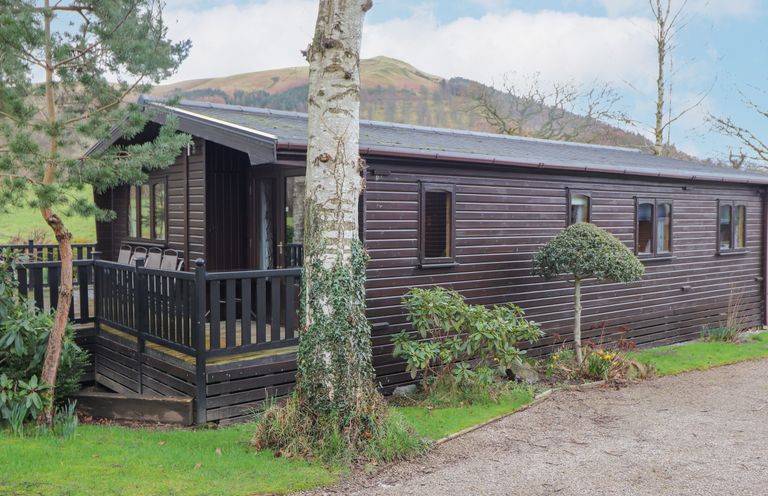 A wooden lodge with a porch surrounded by trees and shrubs in a rural setting at Hayeswater Lodge in Burnside Park near Keswick