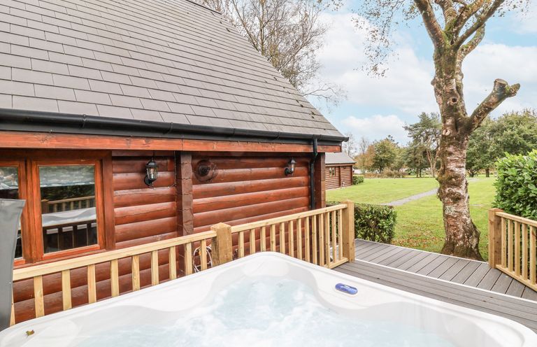 An outdoor space with a hot tub and a log cabin at Willow in Dolton