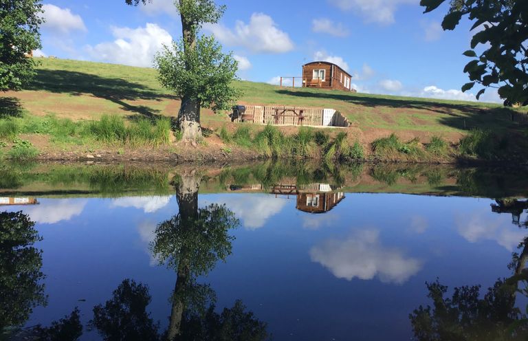 A grassy hillside with a wooden cabin a picnic table and barbecue near a pond reflecting the sky at Poppy in Raglan