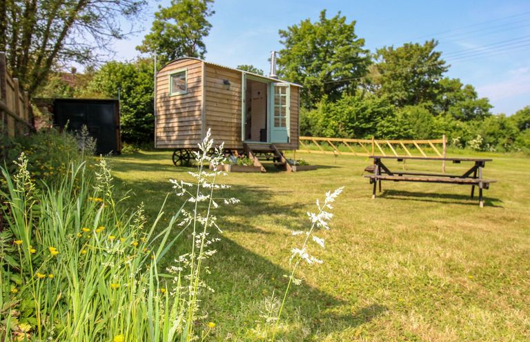 A wooden hut with an open door and small stairs on a grassy lawn with a picnic table at Acres Meadow in Maiden Newton