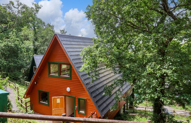 An orange A-frame wooden cabin with a gray roof surrounded by trees and greenery at Lodge 45 - Lazy Bear in Finlakes Holiday Park near Chudleigh