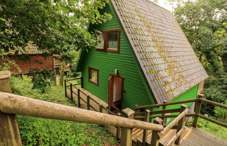 A green wooden cabin with a sloped roof and a staircase leading to the door surrounded by trees and greenery at Lodge 58 - Oak Tree Lodge Finlakes Holiday Park near Chudleigh