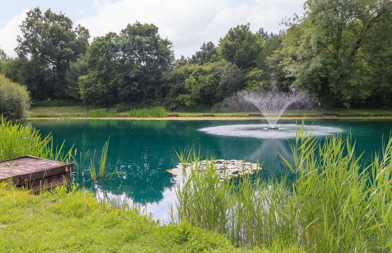 A pond with a water fountain surrounded by trees and grass at Stork Lodge in Swannington near Coalville