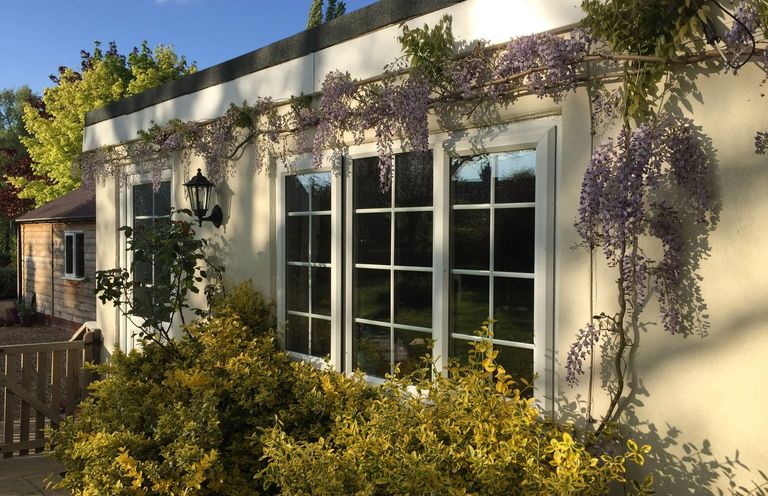 The exterior of a house with a window and a door surrounded by yellow bushes and purple flowers at October House Holiday Cabin in Damerham