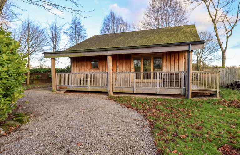 A wooden cabin with a covered porch and gravel driveway surrounded by leafless trees and grass at Larch Lodge in Skelton near Penrith