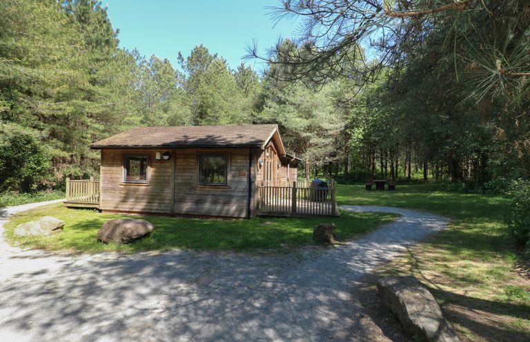 A wooden cabin surrounded by trees with a gravel path and picnic table at Oak Lodge in Rosliston
