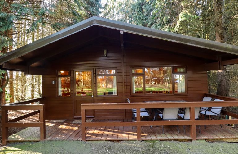 A brown wooden cabin with a porch and outdoor chairs surrounded by trees at Partridge Withern near Alford