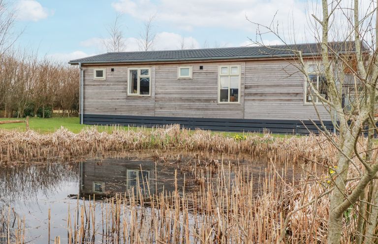A pond with dry reeds in front of a wooden house with windows at 6 Meadow Retreat in Dobwalls