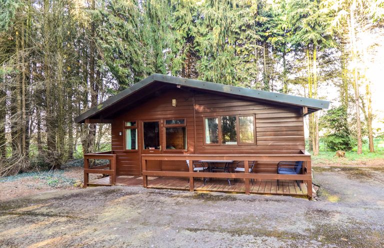 A wooden cabin with a small porch and outdoor seating surrounded by tall trees at Pheasant Withern near Alford