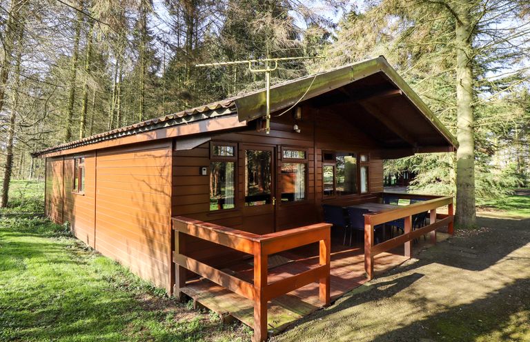 A wooden cabin with a covered porch and outdoor seating surrounded by trees at Kestrel in Withern near Alford