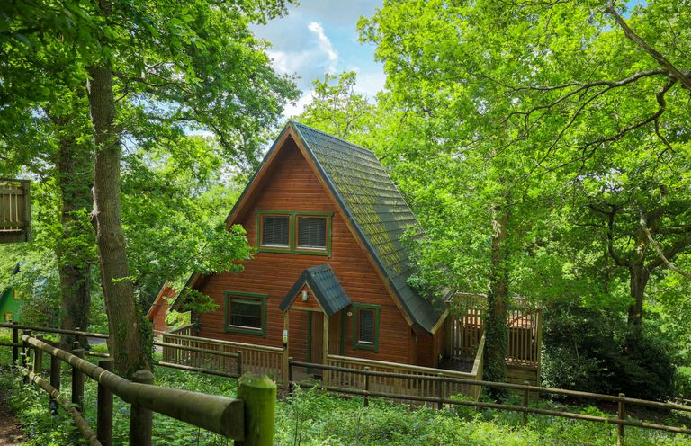 A wooden cabin surrounded by trees at Lodge 68 - Fern Gully Finlakes Holiday Park near Chudleigh