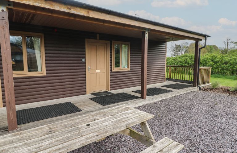 A wooden cabin porch with a door and windows and a picnic table outside at Sycamore in Cowbridge