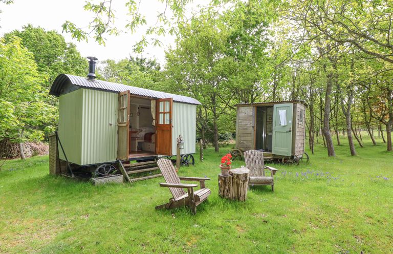 Two small wooden huts with open doors on grass surrounded by trees and two wooden chairs with a tree stump table at Sika in Warmwell